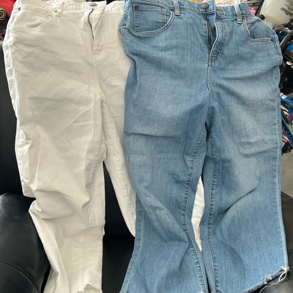 Eddie Bauer Blue and White wedgie fit jeans